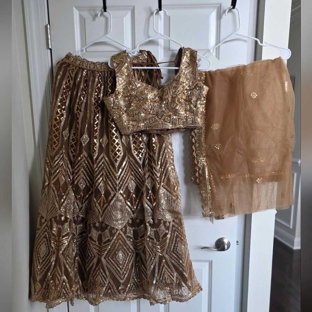 Golden Brown Net Embroidered Lehenga Choli - Picture 5 of 13